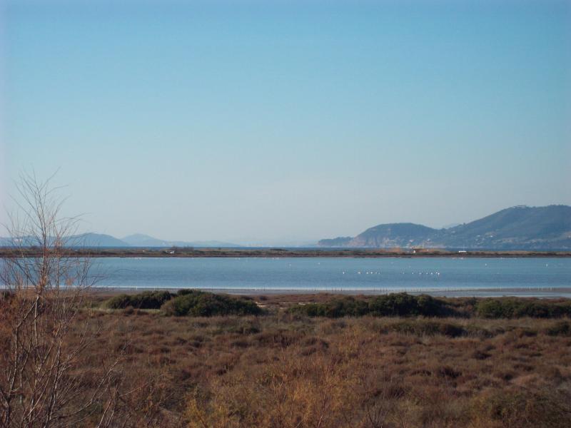 foto 4 Aluguer de frias entre particulares Hyres appartement Provena-Alpes-Costa Azul Var Vista do terrao