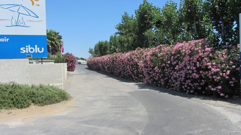 foto 25 Aluguer de férias entre particulares Valras-Praia mobilhome Languedoc-Roussillon Hérault Outras