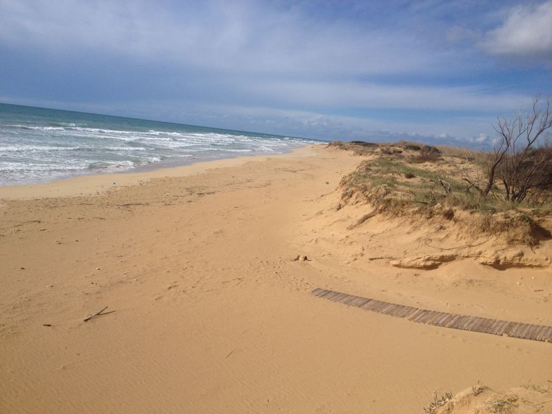 foto 20 Aluguer de frias entre particulares Pescoluse maison Puglia Lecce (provncia de) Praia