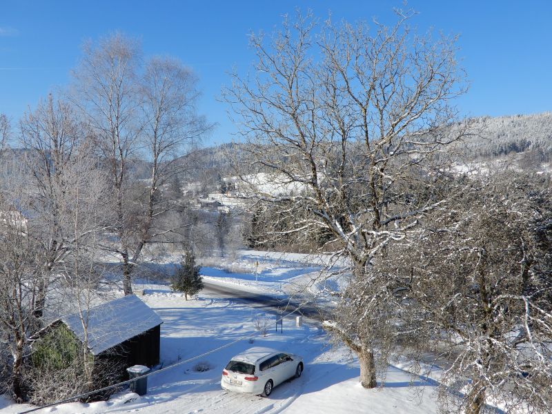 foto 25 Aluguer de frias entre particulares Grardmer gite Lorena Vosges Vista desde do alojamento