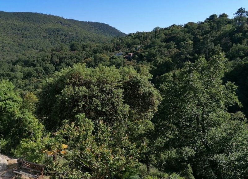 foto 19 Aluguer de férias entre particulares Fréjus appartement Provença-Alpes-Costa Azul Var Vista dos arredores