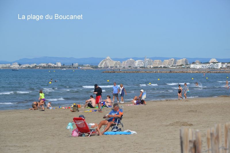 foto 0 Aluguer de frias entre particulares Le Grau du Roi appartement Languedoc-Roussillon Gard