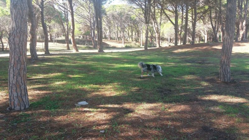 foto 17 Aluguer de férias entre particulares Sa Petra Ruja villa Sardenha Nuoro (província de) Outras