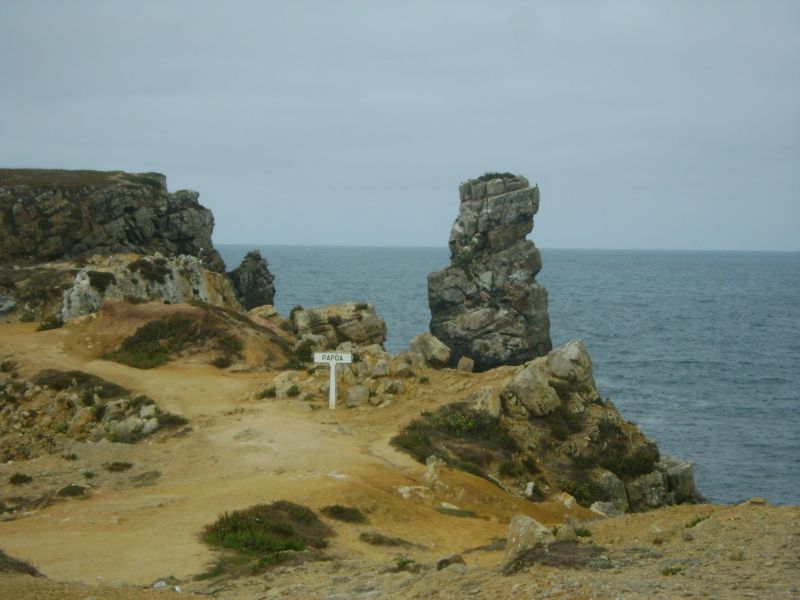 foto 17 Aluguer de frias entre particulares Peniche appartement Estremadura  e Ribatejo  Vista dos arredores