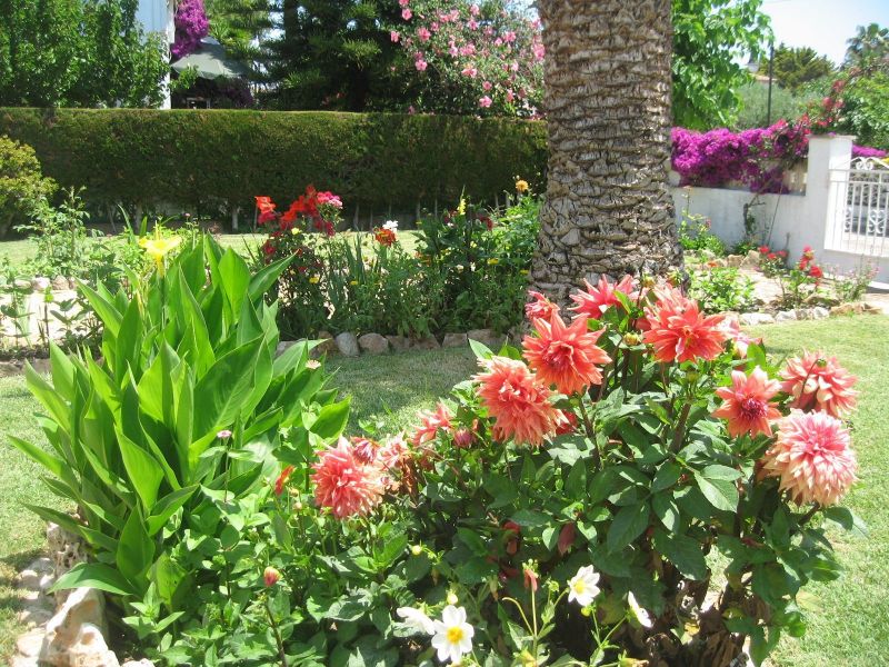 foto 0 Aluguer de férias entre particulares Roda de Bera maison Catalunha Tarragona (província de) Jardim