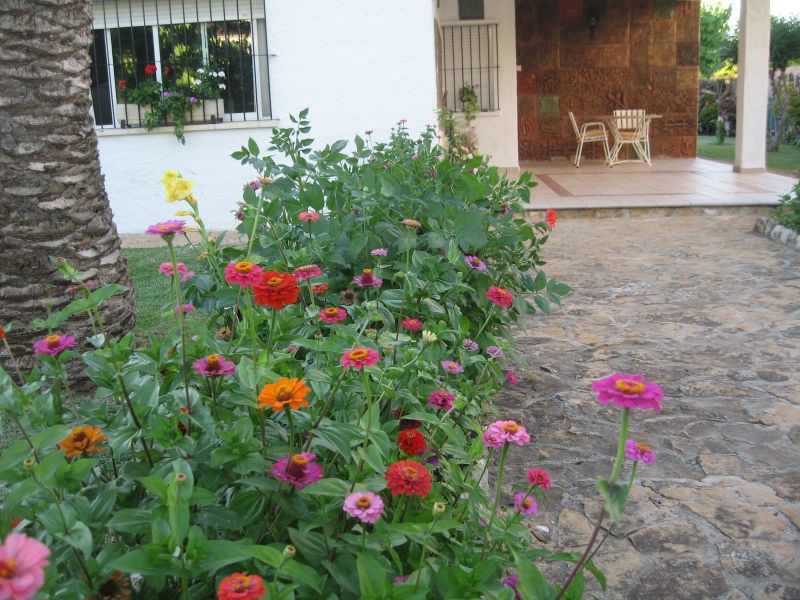 foto 13 Aluguer de férias entre particulares Roda de Bera maison Catalunha Tarragona (província de) Jardim