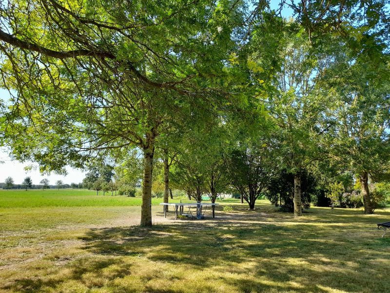 foto 23 Aluguer de férias entre particulares La Rochelle gite Poitou-Charentes Charente-Maritime Jardim