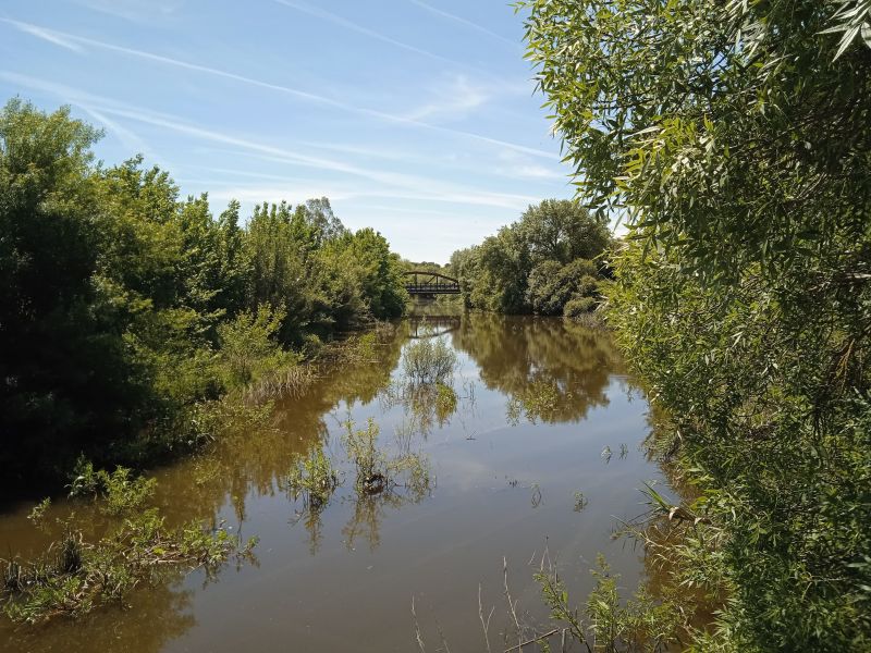 foto 22 Aluguer de férias entre particulares Évora maison Alentejo  Vista dos arredores