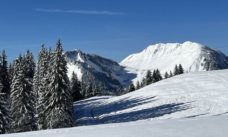 foto 2 Aluguer de frias entre particulares La Clusaz studio Rdano-Alpes Alta Sabia