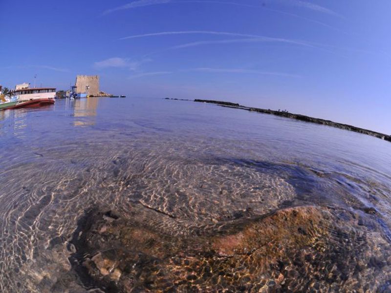 foto 0 Aluguer de férias entre particulares Ostuni villa Puglia Bríndisi (província de)