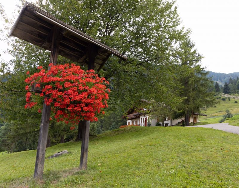 foto 7 Aluguer de frias entre particulares Predazzo appartement Trentino-Alto Adige Trento (provncia de) Vista desde do alojamento