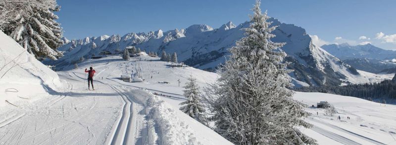 foto 17 Aluguer de férias entre particulares Manigod-Croix Fry/L'étale-Merdassier appartement Ródano-Alpes Alta Sabóia Vista dos arredores