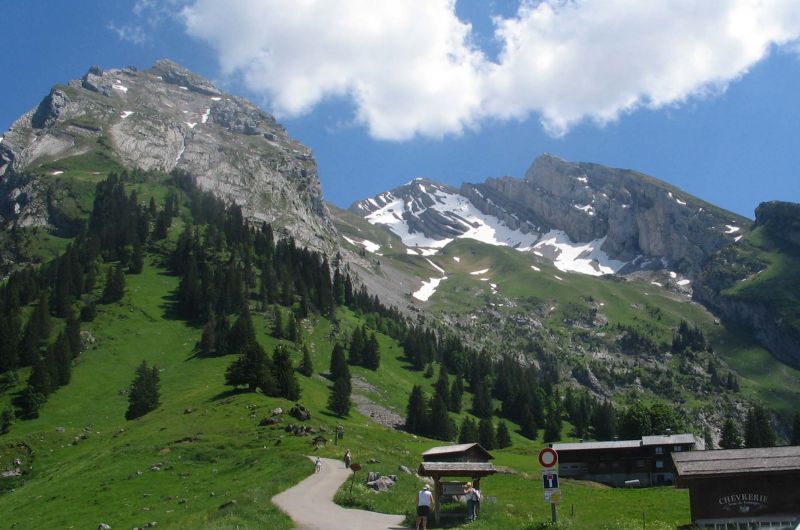 foto 13 Aluguer de férias entre particulares Manigod-Croix Fry/L'étale-Merdassier appartement Ródano-Alpes Alta Sabóia Vista dos arredores