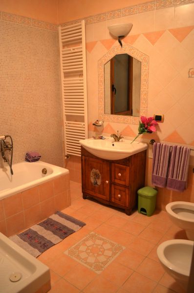 foto 6 Aluguer de frias entre particulares San Gimignano appartement Toscana Siena (provncia de) casa de banho