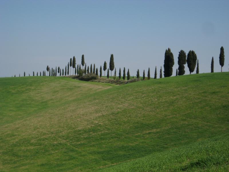 foto 5 Aluguer de férias entre particulares San Gimignano appartement Toscana Siena (província de) Outras