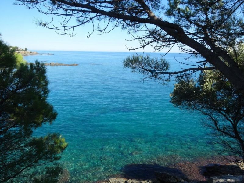 foto 21 Aluguer de férias entre particulares Llança appartement Catalunha Girona (província de) Vista dos arredores