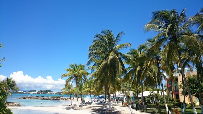 foto 20 Aluguer de férias entre particulares Le Gosier (Guadeloupe) studio Grande Terre