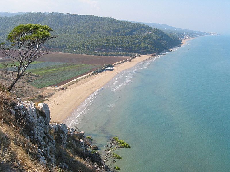 foto 24 Aluguer de frias entre particulares San Menaio appartement Puglia Foggia (provncia de) Praia