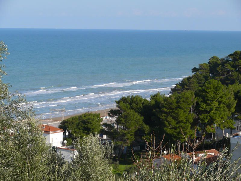 foto 0 Aluguer de frias entre particulares San Menaio appartement Puglia Foggia (provncia de)