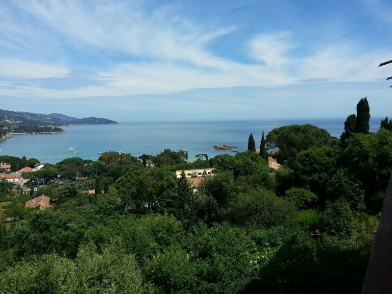 foto 0 Aluguer de frias entre particulares Le Lavandou appartement Provena-Alpes-Costa Azul Var Vista do terrao