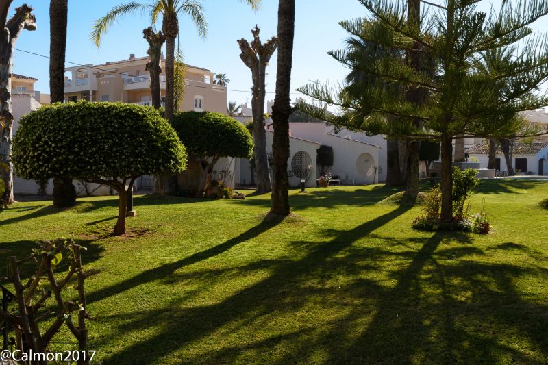 foto 16 Aluguer de frias entre particulares Dnia bungalow Comunidade Valenciana Alicante (provncia de) Jardim