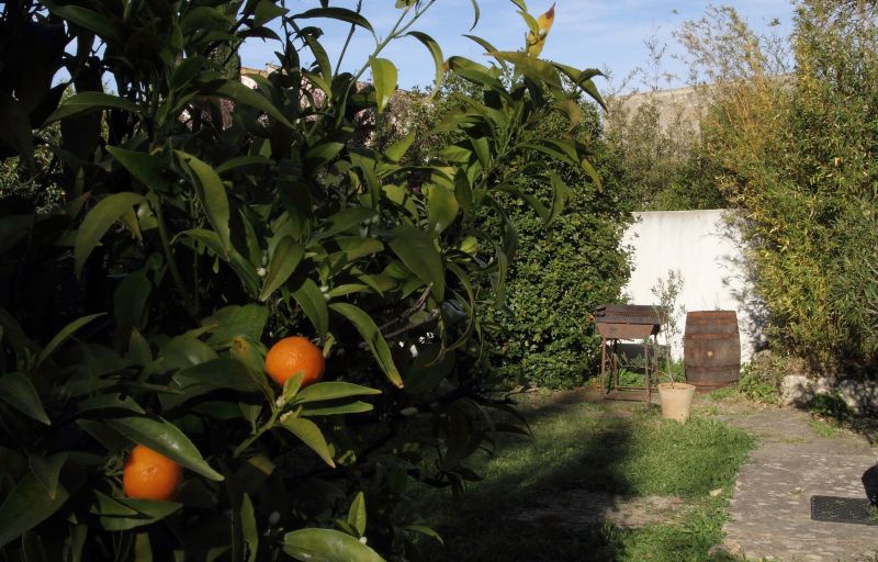 foto 17 Aluguer de férias entre particulares Capestang maison Languedoc-Roussillon Hérault Jardim