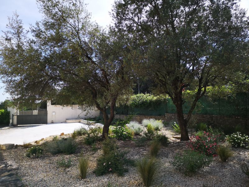 foto 1 Aluguer de frias entre particulares Saint-Martin-de-Valgalgues maison Languedoc-Roussillon Gard Jardim