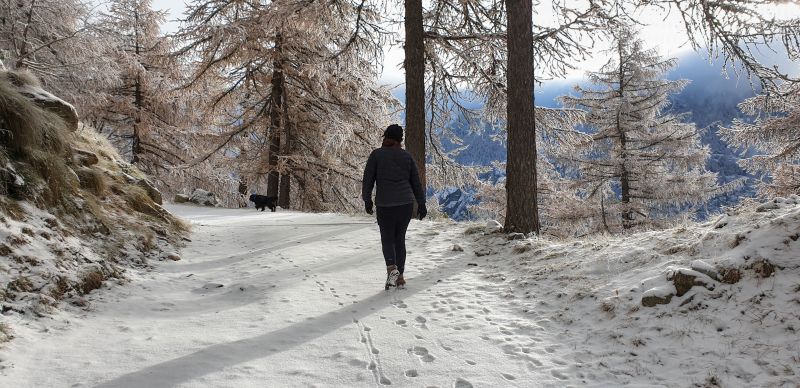 foto 12 Aluguer de frias entre particulares Bionaz chalet Vale de Aosta Aosta Vista dos arredores