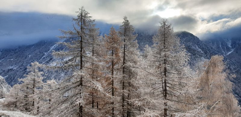 foto 14 Aluguer de frias entre particulares Bionaz chalet Vale de Aosta Aosta Outras