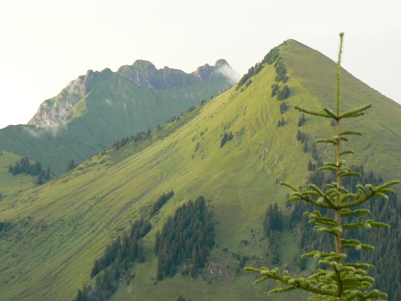 foto 24 Aluguer de férias entre particulares Praz de Lys Sommand chalet Ródano-Alpes Alta Sabóia vista da varanda