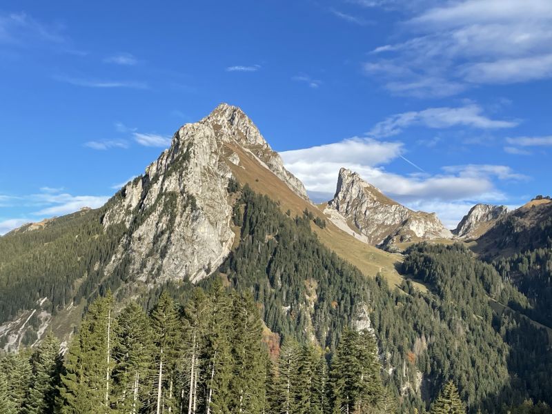 foto 23 Aluguer de férias entre particulares Bernex appartement Ródano-Alpes Alta Sabóia