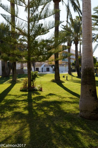 foto 4 Aluguer de frias entre particulares Dnia bungalow Comunidade Valenciana Alicante (provncia de) Jardim