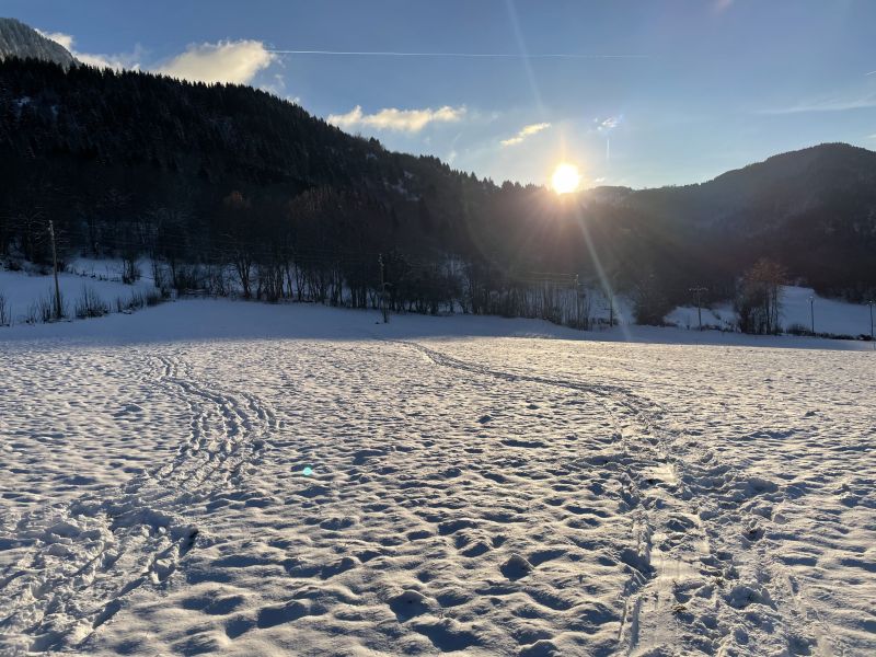 foto 1 Aluguer de férias entre particulares Thollon Les Mémises appartement Ródano-Alpes Alta Sabóia Vista dos arredores