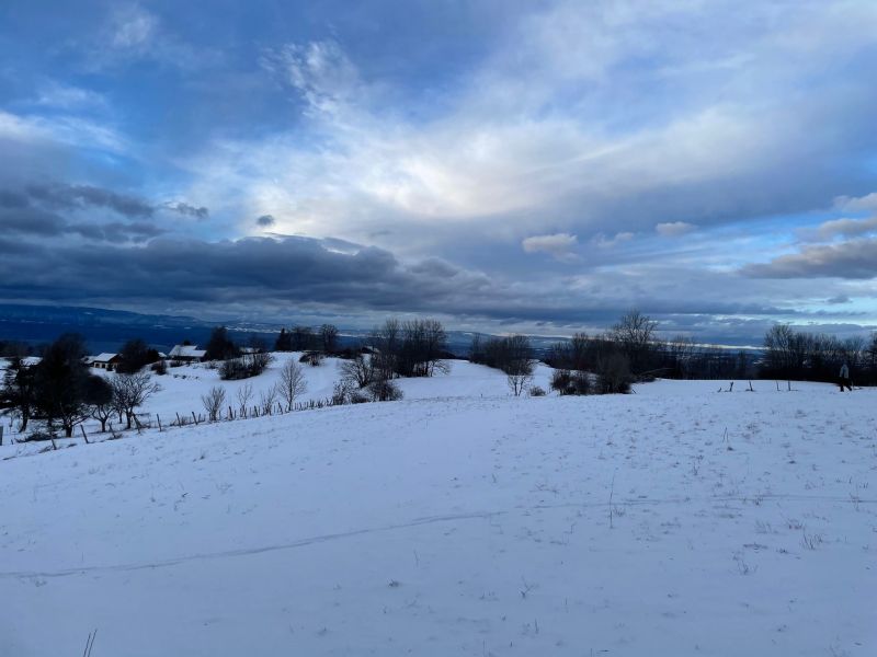 foto 0 Aluguer de frias entre particulares Thollon Les Mmises appartement Rdano-Alpes Alta Sabia