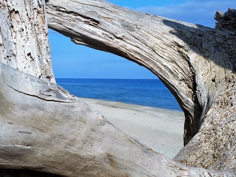 foto 0 Aluguer de frias entre particulares Cervione maison Crsega Alta Crsega Praia