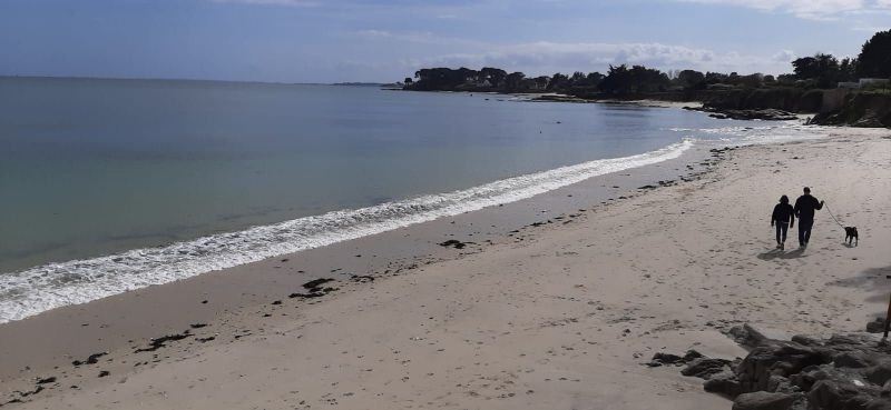 foto 1 Aluguer de férias entre particulares Saint Pierre Quiberon maison Bretanha Morbihan Praia