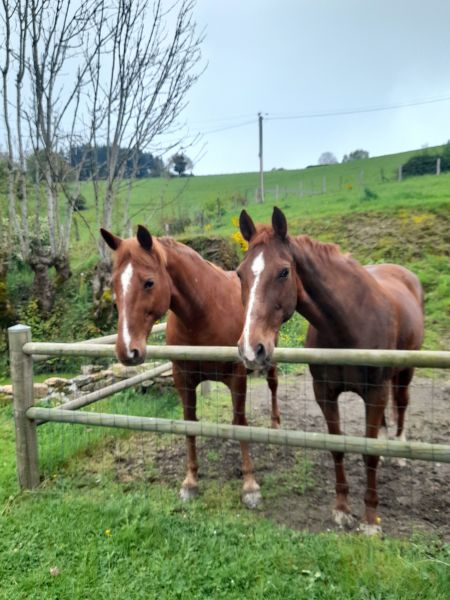 foto 9 Aluguer de férias entre particulares  gite Ródano-Alpes Loire