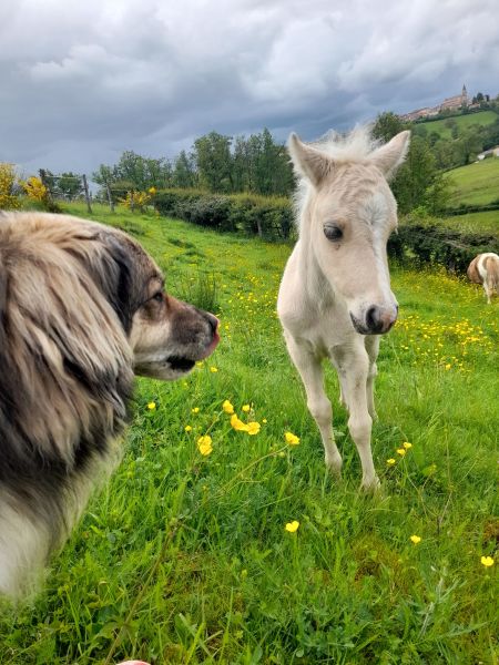 foto 10 Aluguer de férias entre particulares  gite Ródano-Alpes Loire