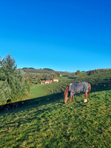 foto 12 Aluguer de férias entre particulares  gite Ródano-Alpes Loire