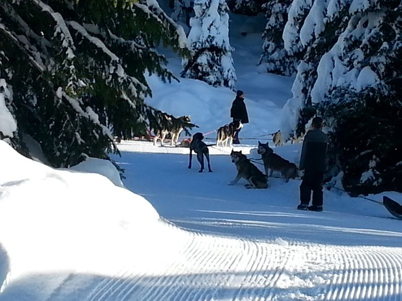 foto 20 Aluguer de frias entre particulares Samons studio Rdano-Alpes Alta Sabia Vista dos arredores