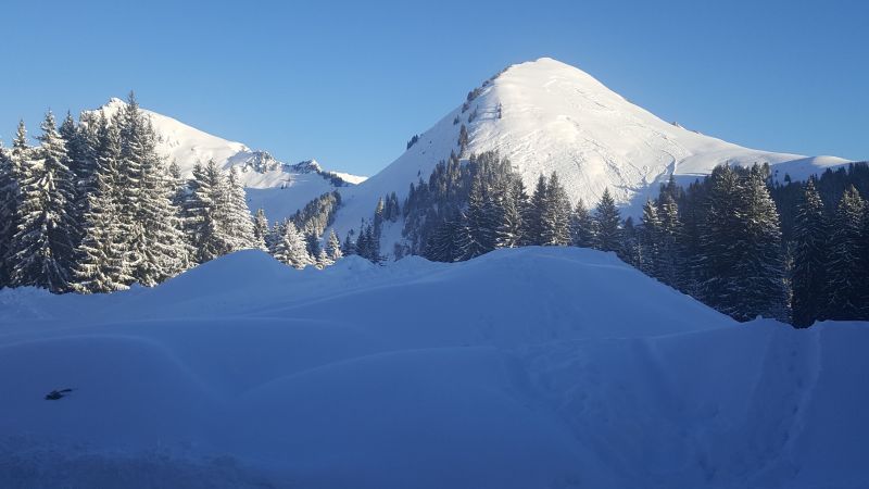 foto 16 Aluguer de frias entre particulares Praz de Lys Sommand appartement Rdano-Alpes Alta Sabia Vista desde do alojamento