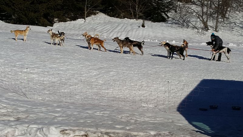 foto 19 Aluguer de frias entre particulares Praz de Lys Sommand appartement Rdano-Alpes Alta Sabia Outras