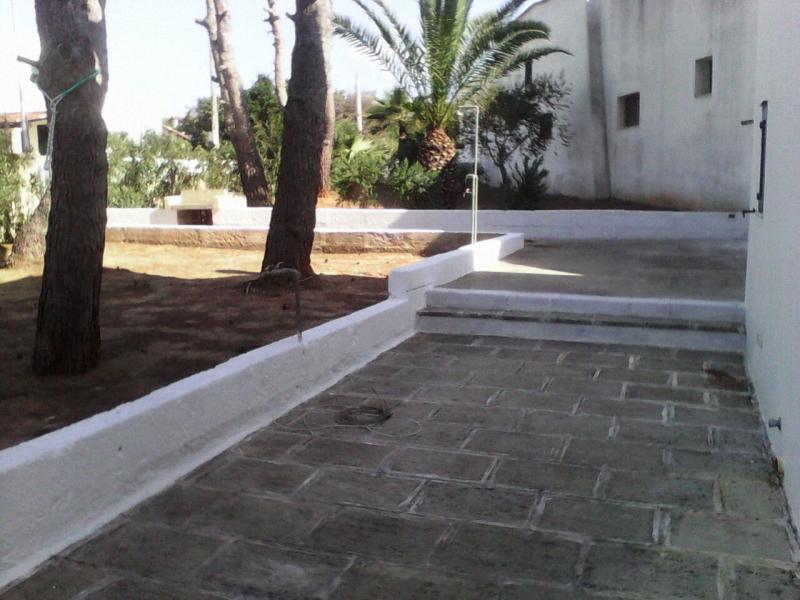 foto 16 Aluguer de frias entre particulares Pescoluse appartement Puglia Lecce (provncia de) Jardim