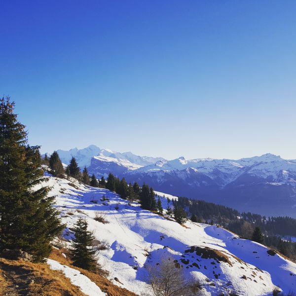 foto 25 Aluguer de frias entre particulares Morillon Grand Massif chalet Rdano-Alpes Alta Sabia Outras
