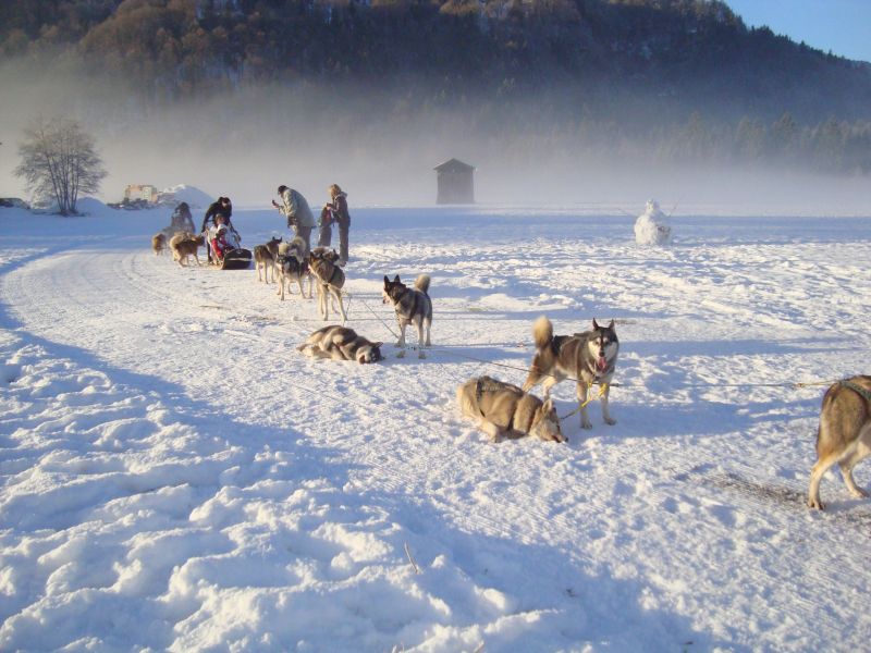 foto 23 Aluguer de férias entre particulares Morillon Grand Massif chalet Ródano-Alpes Alta Sabóia Outras