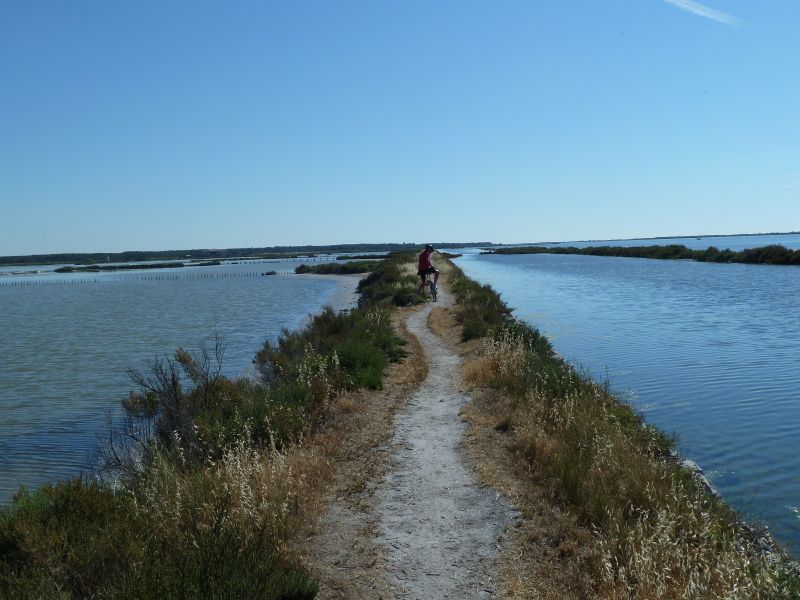 foto 16 Aluguer de férias entre particulares Sete appartement Languedoc-Roussillon Hérault