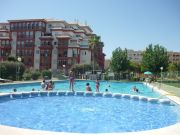 Aluguer frias Torrevieja: appartement n 83846