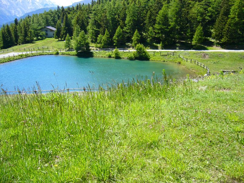 foto 19 Aluguer de férias entre particulares Saint Nicolas appartement Vale de Aosta Aosta Vista dos arredores