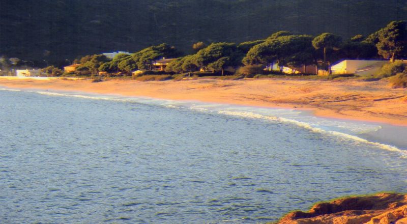 foto 5 Aluguer de frias entre particulares Sagone appartement Crsega Crsega do Sul Praia