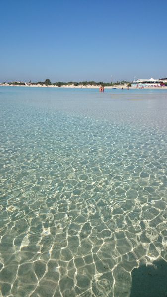 foto 8 Aluguer de frias entre particulares Porto Cesareo studio Puglia Lecce (provncia de) Praia